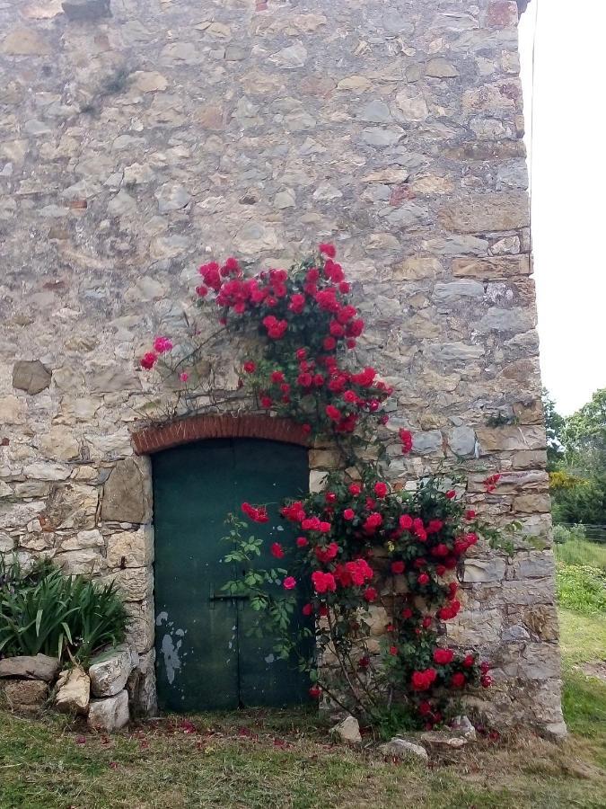 Ferienwohnung Magrignano Montieri Exterior foto